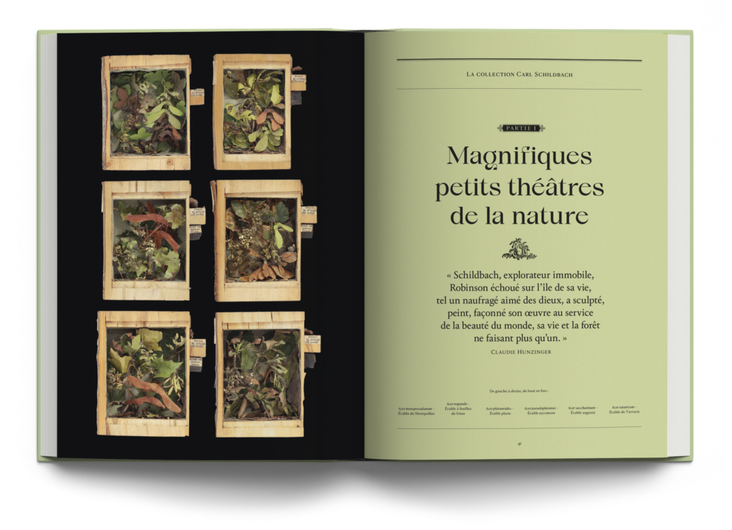 Mockups Design